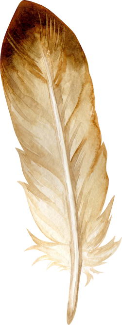 Watercolor  Brown Feather