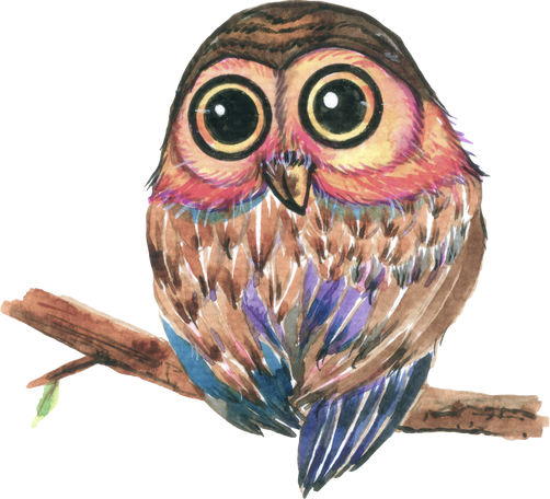 Owl watercolor animal wildlife bird animal