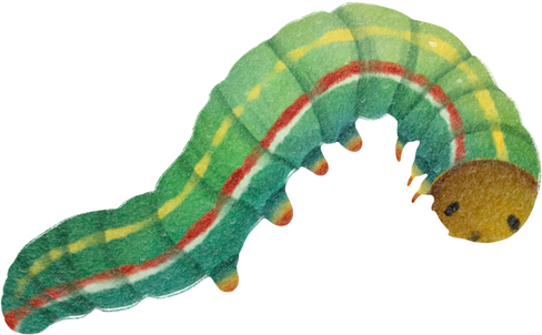 Caterpillar Watercolor Hand-Painted on Transparent Background